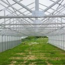 그린나래(주) 이미지