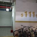 팔달초교 이미지