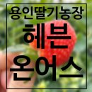 새용인동물약국 | 용인딸기체험 동물먹이주기 가능한 헤븐온어스 용인가볼만한곳 추천해