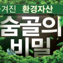 동일리-7 이미지