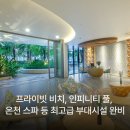 크레이지다이아몬드 | 나트랑 아나만다라 깜란 리조트 오션뷰, 수영장 좋은 깜란 호텔 특가