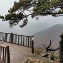 웅담2리 마을회관 티스토리