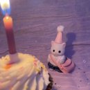 생일선물로 받은 스티커 하울 / 마시랜드.귤귤 / 트웬티 구매 후기 다꾸 스티커