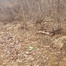 산림조합화장실 이미지