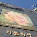 은행나무사거리2 이미지