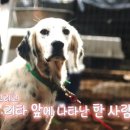 장봐드림 이미지
