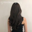알레이
