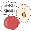홍혜선 프로네일 이미지