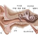 메디서울이비인후과의원 이미지