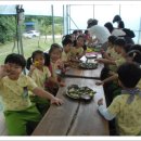 행정초교 병설유치원 이미지