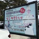 대박짬뽕마을 | 강릉 동화가든 짬뽕순두부 테이블링 웨이팅 맛집
