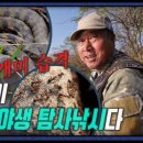 더차우 이미지