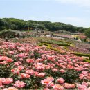 도당동행정복지센터 이미지