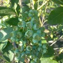 유평농장 이미지