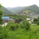 대성한약방