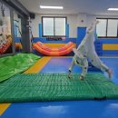 엘림 태권도 이미지