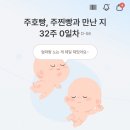 쌍둥이돼지꿈 | 쌍둥이 임신 32주 기록 :: 돌아서면 배고픈 나, 비정상인가요? ,,,