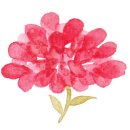 단꽃케이크 네이버블로그