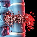 MEDI FLOWER 147 이미지