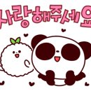 드림홀덤