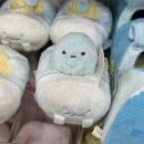 프라잇핏 | 도쿄 (신주쿠 앤나 오모테산도 앤나 긴자 앤나 시부야 앤나 가부키초 앤나 하라주쿠)