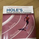 Holes Human Anatomy and Physiology 15th(원서) 이미지