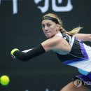 김현종농장 이미지