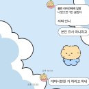 뱃살야옹 | 싱그럽고 푸릇한 7월 일상