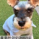 더힐테라피센터 이미지