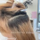 인천 송도 미용실 유어디 여자 시크릿투톤 후기