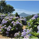 소동연가 이미지