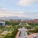 국제학교 학생들에게 카이스트만 있는 것은 아닙니다 | KAIST, GIST, DGIST, UNIST