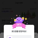 포도알 저녁식사 챙겨보실까요🍇🍇 이미지