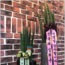 에듀핏입시학원