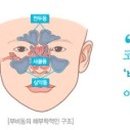 목구멍 이미지