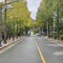 하태부분정비 | 창원 정비대 (정병산-비음산-대암산) 등산코스/주차장/준비물/소요시간