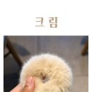 밴드에코 이미지