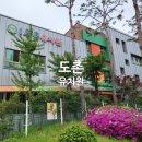 도촌유치원 이미지
