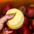 소망유통 이미지