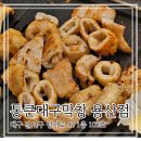 클램(klamm) | [대구] 달서구 용산동 계명대 근처 막창 맛집 통큰대구막창 용산점