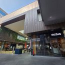 송도국제대로343번길 | 송도맛집 이터스멕시칸, 파히타부터 포장보울까지 솔직후기