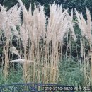 하주희공인중개사사무소 이미지