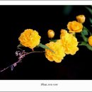 꿈이있는 이미지