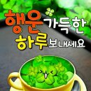 포반 Daum카페