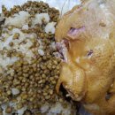 삼배농장 이미지