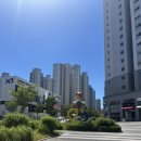 코코 불당점 | [천안애견용품] 24시간 무인 애견샵, 아무도없개 불당파크점 이용 후기 🐶