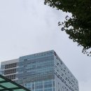 지문코칭 상담사 | [가양] 이색워크샵 커리어코칭 성격검사 진로상담 101CC