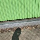 다감약국 이미지