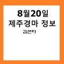 제주경마정보
