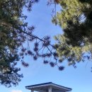 Okanagan Golf Club 이미지